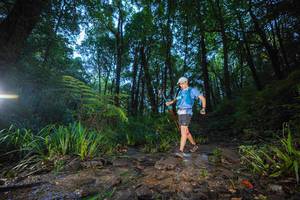 BIB: 
                            <button type="button" onclick="openModal(19241919)" class="btn btn-primary btn-sm float-right btn-popup" data-toggle="modal" data-target=".modal-high-quality">
                        <i class="fas fa-shopping-cart"></i> Add to Cart
                    </button>
                                            <button type="button" onclick="isThisMe(19241919, true)" class="btn btn-success btn-sm float-right btn-popup btn-isme hidden" data-toggle="tooltip" data-placement="bottom" title="นี่คือรูปของคุณใช่ไหม คลิกที่นี่เพื่อเอาเข้าอัลบั้ม">
                        <i class="fas fa-plus"></i> Add to album
                    </button>
                    <button type="button" onclick="isThisMe(19241919, false)" class="btn btn-warning btn-sm float-right btn-popup btn-isnotme hidden">
                        <i class="fas fa-ban"></i> Remove from album
                    </button>